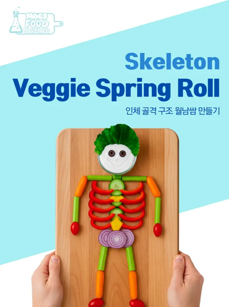 인체 골격 구조 월남쌈 표지