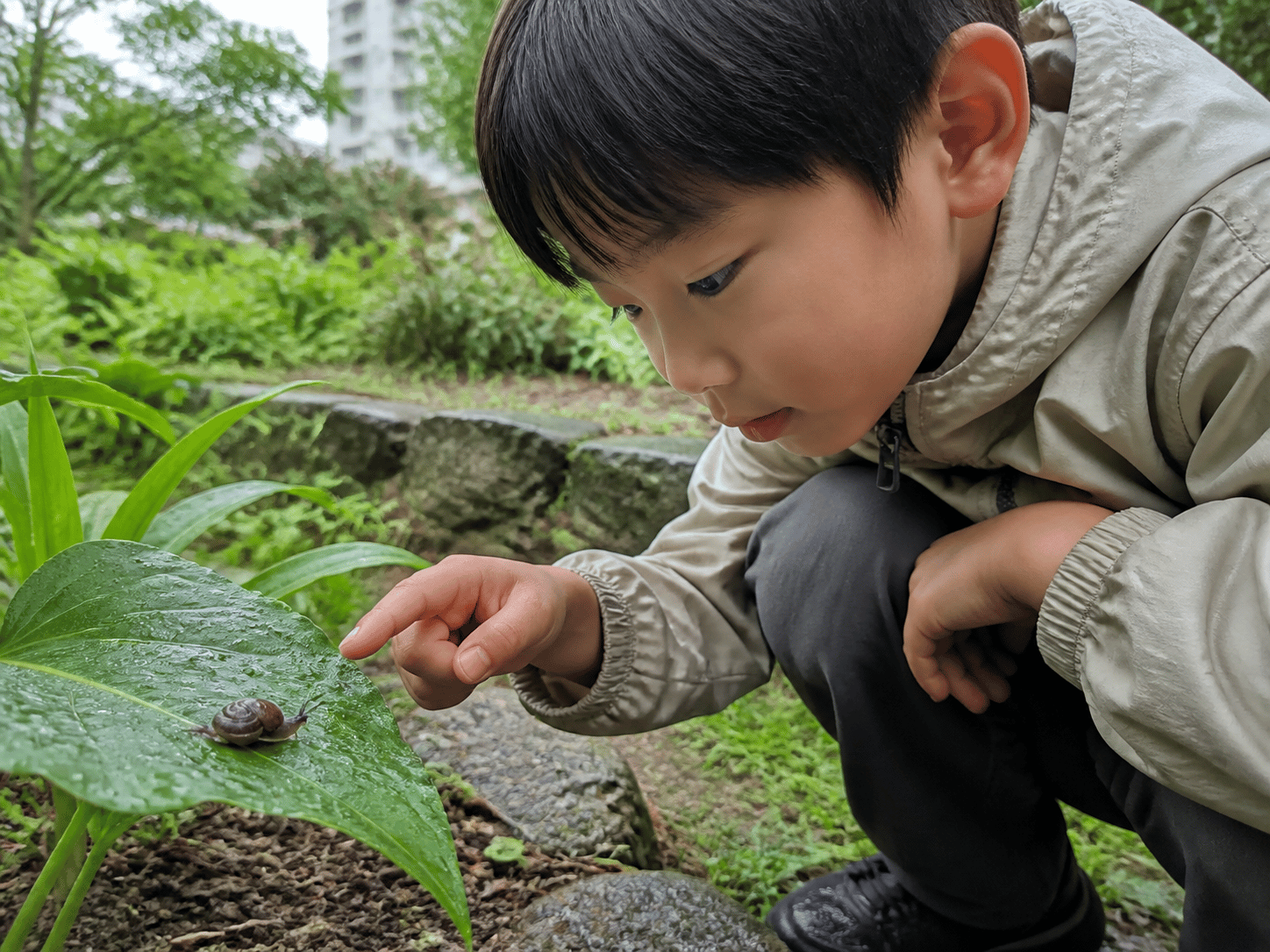 Trẻ ngồi bên luống hoa, chỉ và quan sát một con ốc sên trên lá.